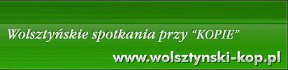 wolsztyn.jpg